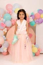 Noor Sitara Lehenga Pink