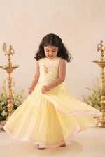 Noor Pari Lehenga Set