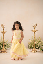 Noor Pari Lehenga Set